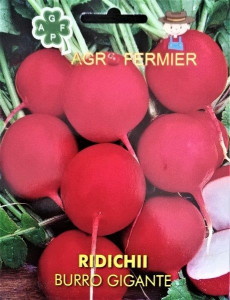 Seminte de ridichii Buro Gigante 0932, Agro Fermier