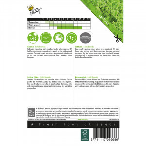 Seminte de salata creata Lollo Bionda, 0,85 g, Buzzy, Olanda