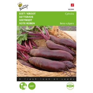 Seminte de sfecla rosie Cylindra 5 g, Buzzy, Olanda