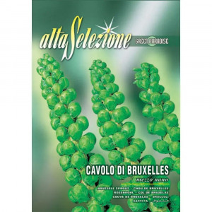 Seminte de varza de bruxelles Mezzo Nano, 6g, Franchi