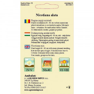 Semite de Regina Noptii mix, planta ornamentala anuala, Agrosem, 0.15g