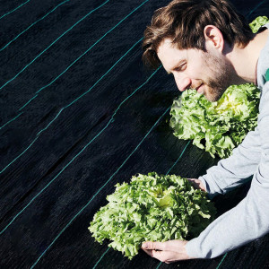 Agrotextil Plant Master, dimensiune 2,1 m x 100 m, culoare negru cu dungi verzi