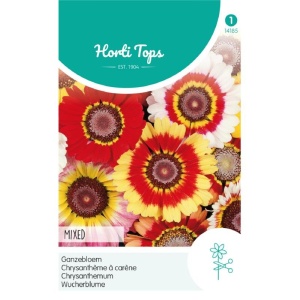 Chrysanthemum carinatum, 1g, Horti Tops, Olanda
