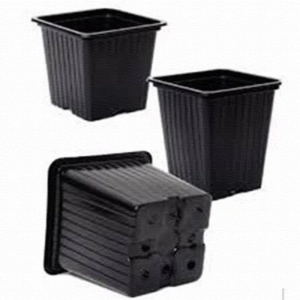 Ghiveci 8 x 8 x 7 cm patrat, set de 4000 buc.