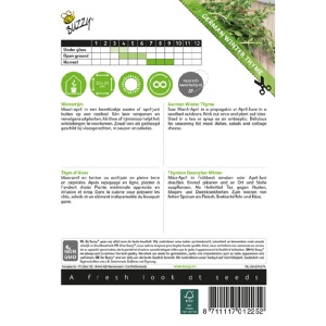 Seminte cimbru de iarna german, lamaioara, 0.5 g, Buzzy, Olanda - Img 2
