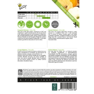 Seminte de dovlecel patisson Color Mix, 1.5g, Buzzy, Olanda - Img 2