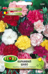 Seminte de Garoafa Chabaud/ Dianthus caryophyllus Chabaud, 0.2g