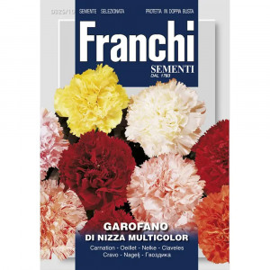 Seminte de Garoafa de nisa multicolor, 1g, Franchi