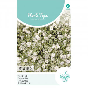 Seminte de Gypsophila Snow Flake dubla alba, 0,25g, Horti Tops, Olanda
