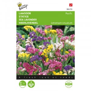Seminte de Limonium/statice Pacific mix, 0,25g, Buzzy, Olanda