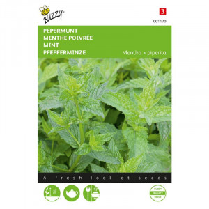 Seminte de menta comuna, 0.08 g/plic, Buzzy, Olanda