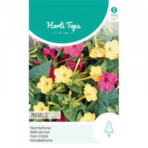 Seminte de Mirabilis mix, 3g, Horti Tops, Olanda