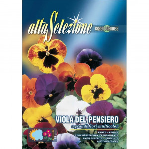 Seminte de Panselute, flori mari multicolore, 0.4g, Franchi