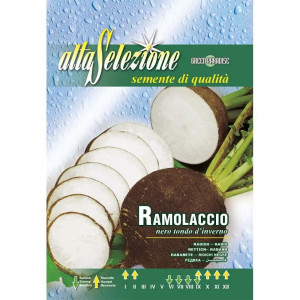 Seminte de ridichi negre Nero Tondo d'Inverno, 12g, Franchi
