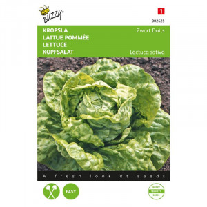 Seminte de salata verde pe tot parcursul anului, 3 g, Buzzy, Olanda