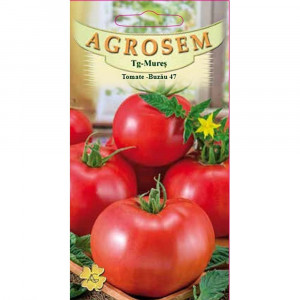 Tomate Buzau 47, soi semitimpuriu, cu crestere determinata, 0.25gr