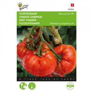 Seminte de tomate Inima de bou Marmande, 2 g, Buzzy, Olanda