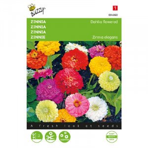 Seminte de Zinnia elegans,duble mix 1.5g/plic, Buzzy, Olanda