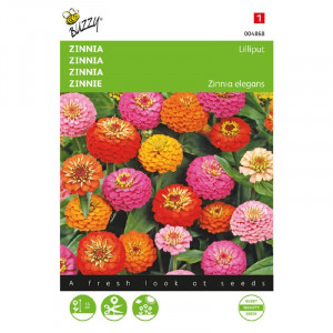 Seminte de Zinnia pitica mix, 1,5g, Buzzy, Olanda
