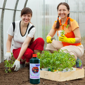 Ingrasamant foliar Bio, 100% natural, CROPMAX 1 L