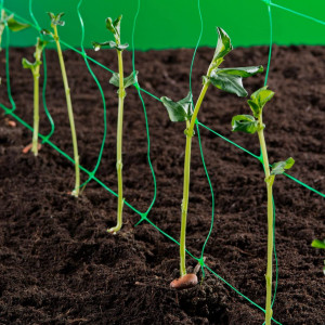 Plasa pentru sustinere castraveti si plante, HDPE, verde 2 x 50 m, Plant Master