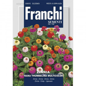Seminte de Carciumareasa giganta cu floare de dalie mix, 3g, Franchi