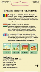 Seminte de conopida toamna Giant of Naples 1 gram