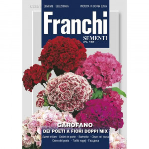 Seminte de Garofita De Gradina flori duble mix, 2g, Franchi