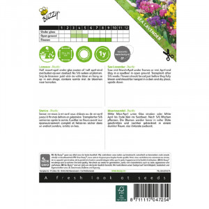 Seminte de Limonium/statice Pacific mix, 0,25g, Buzzy, Olanda