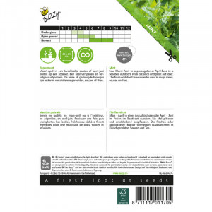 Seminte de menta comuna, 0,08 g, Buzzy, Olanda