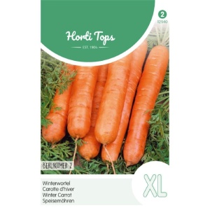 Seminte de morcov Berlicum XL 2, 6g, Horti Tops, Olanda