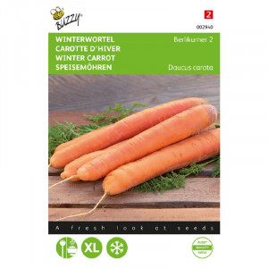 Seminte de morcov de iarna Berlicum 2, 6g, Buzzy, Olanda