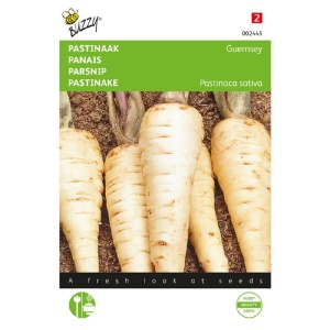 Seminte de pastarnac Guernsey, soi rezistent, Buzzy, 5gr