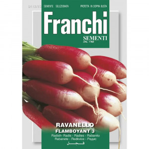 Seminte de ridiche de luna Flamboyant 3, 15g, Franchi