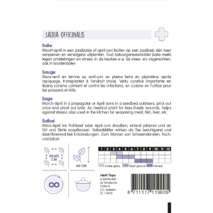 Seminte de Salvia officinalis, 1g, Horti Tops, Olanda - Img 2