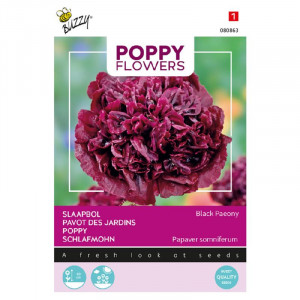 Seminte de Seminte de mac Black Peony