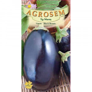 Vinete Black Beauty, forma rotund-ovala, violet-inchis, Agrosem, 2gr