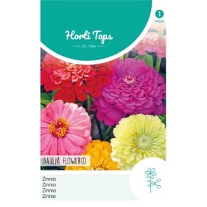 Seminte de Zinnia mix, floare de dalie 1.5g/plic, Horti Tops, Olanda
