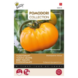 Seminte tomate Brandywine Yellow, 0.5g, Buzzy, Olanda