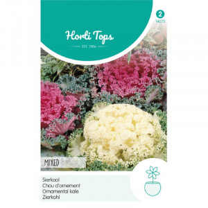Seminte de Brassica decorativa, 0,25g, Horti Tops, Olanda