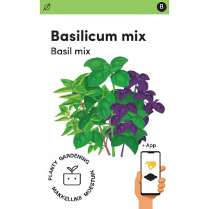 Seminte de busuioc mix Mengsel, 0,5g, Makkelijke Moestuin, Olanda