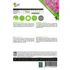 Seminte de Cleome Rose Queen, 0,75g, Buzzy, Olanda
