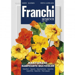 Seminte de Condurul Doamnei urcator multicolor, 0.8g, Franchi