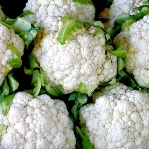 Seminte de conopida Snowball, soi semitimpuriu, cu capatana mare, rotund-turtita, alba, Agrosem, 1gr