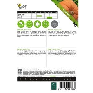 Seminte de dovleac Atlantic Giant, 2.5g, Buzzy, Olanda - Img 2