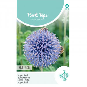 Seminte de Echinops Blue Globe, 0,5g, Horti Tops, Olanda