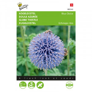 Seminte de Echinops Thistle Blue Globe, 0,5g, Buzzy, Olanda
