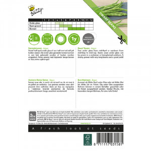 Seminte de fasole pitica Argus, 20g, Buzzy, Olanda