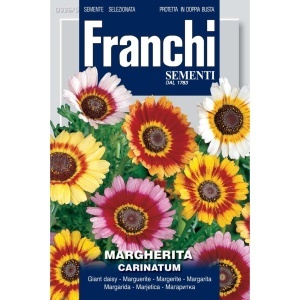 Seminte de flori Margareta Carinatum sau Margareta gigant, Franchi