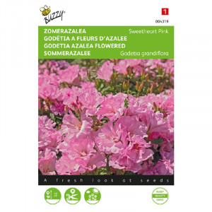 Seminte de Godetia Sweetheart Pink, 0,75g, Buzzy, Olanda